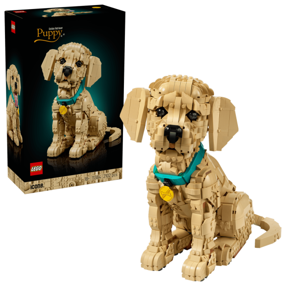 Lego Icons - Cucciolo di Golden Retriever - Lego 11384 con Collare e Medaglietta per Cane 2102pz Anni 18+